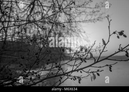 Posen, Großpolen, Polen. 3 Mär, 2018. Orte - die gefrorenen See. Credit: Dawid Tatarkiewicz/ZUMA Draht/Alamy leben Nachrichten Stockfoto