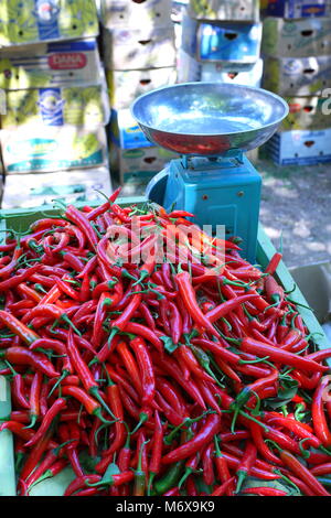 Red chili peppers auf Verkauf auf einem auf dem Bauernmarkt ausgeht, Budaiya, Königreich Bahrain Stockfoto