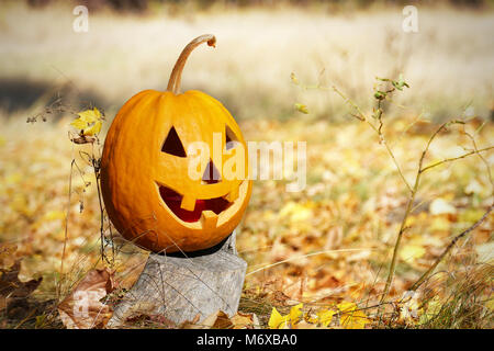 Kopf Halloween Kürbis auf Baumstumpf im Wald. Platz kopieren Stockfoto