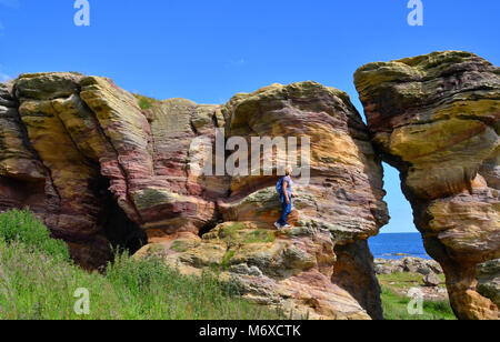 Die Höhlen von Caiplie - Die Buchten - auf der Route der Fife Spaziergang entlang der Küste in der Nähe von Cellardyke/Kilrenny in Fife, Schottland, Großbritannien. Stockfoto