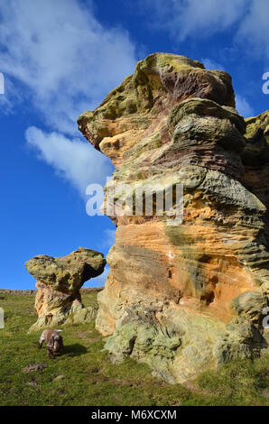 Die Höhlen von Caiplie - Die Buchten - auf der Route der Fife Spaziergang entlang der Küste in der Nähe von Cellardyke/Kilrenny in Fife, Schottland, Großbritannien. Stockfoto