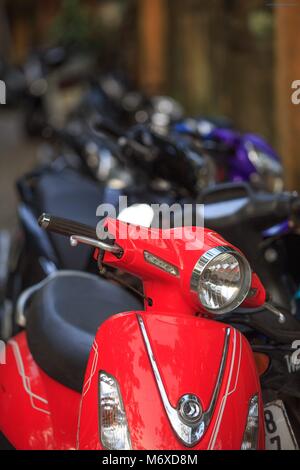 Motorroller sind ein beliebtes Fortbewegungsmittel in Vietnam. Stockfoto