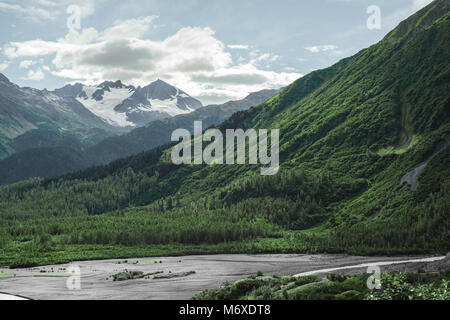 Kenai Fjords Nationalpark Stockfoto