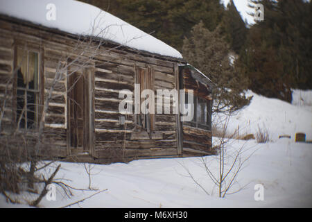 Einen verlassenen Blockhütte in der Geisterstadt Tower, östlich von Philipsburg, Montana. Stockfoto