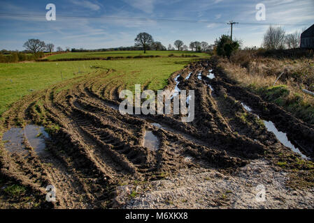 Schlammigen Spuren in einem Feld, Hanbury, Tutbury, Burton-on-Trent, Staffordshire. Stockfoto