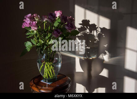 Eine Vase mit Rosen in der Nähe eines Fensters mit Schatten, Hanbury, Tutbury, Burton upon Trent, Staffordshire. Großbritannien Stockfoto