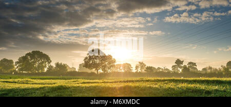 Sunrise glänzt durch die Hecken und Bäume im Süden Lincolnshire, in der Nähe der antiken Stadt Stamford. Strom Leitungen und Masten in der Ferne. Stockfoto