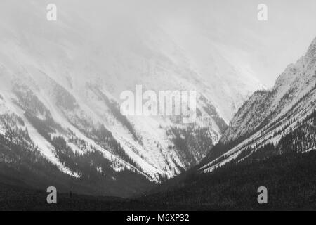 Schwarze und weiße Winterlandschaft von bewaldeten Berghängen in den kanadischen Rockies, Jasper National Park, Kanada Stockfoto