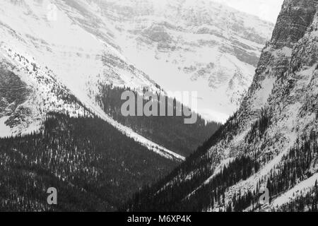 Schwarze und weiße Winterlandschaft von bewaldeten Berghängen in den kanadischen Rockies, Jasper National Park, Kanada Stockfoto