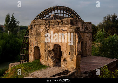 Albolafia Waterwheel auf dem Guadalquivir Albolafia Waterwheel auf dem Guadalquivir, Cordoba, Andalusien, Spanien Stockfoto