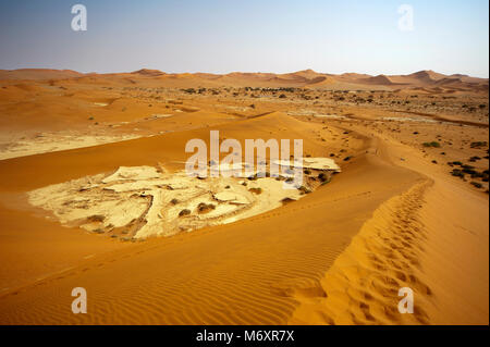 Big Daddy Düne auf Namib Naukluft National Park am Sossusvlei, Namibia Stockfoto