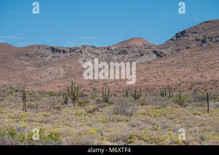 Isla Espiritu Santo, Meer der Cortes in La Paz, Baja California Sur. Mexiko Stockfoto