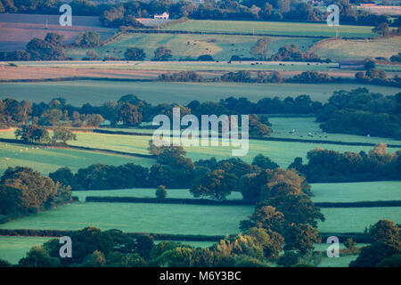 Sommer in Wessex; erstes Licht auf dem Flickenteppich aus Feldern in der Nähe von Bulbarrow Hazelbury Bryan Hill, Dorset, England, Großbritannien Stockfoto