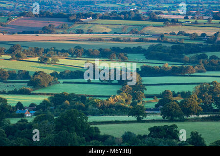 Sommer in Wessex; erstes Licht auf dem Flickenteppich aus Feldern in der Nähe von Bulbarrow Hazelbury Bryan Hill, Dorset, England, Großbritannien Stockfoto