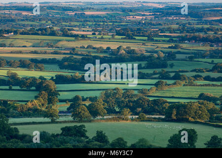 Sommer in Wessex; erstes Licht auf dem Flickenteppich aus Feldern in der Nähe von Bulbarrow Hazelbury Bryan Hill, Dorset, England, Großbritannien Stockfoto