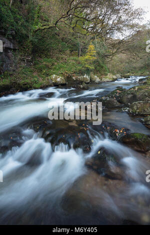 Osten Lyn Fluss fließt durch den Barton Holz, Exmoor, Devon, England, Großbritannien Stockfoto