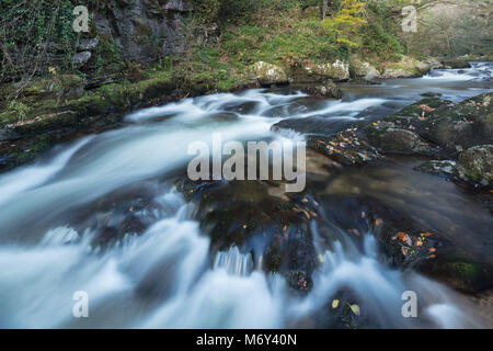 Osten Lyn Fluss fließt durch den Barton Holz, Exmoor, Devon, England, Großbritannien Stockfoto