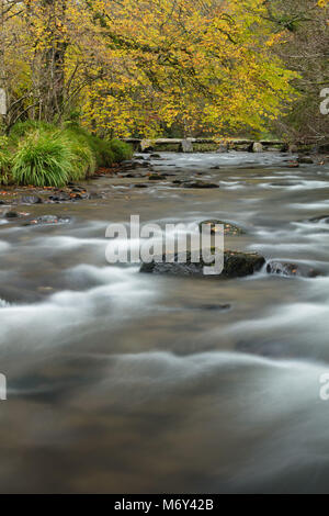 Herbstfarben am Ufer des Flusses Barle bei Tarr Schritte, Exmoor, Somerset, England, Großbritannien Stockfoto