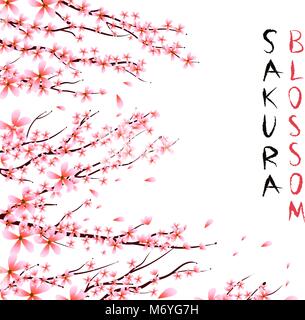 Japan cherry tree. Sakura Zweig mit blühenden Blumen. Blüte Zweig der Pink sakura Blumen. Feder Vector Illustration. Stock Vektor