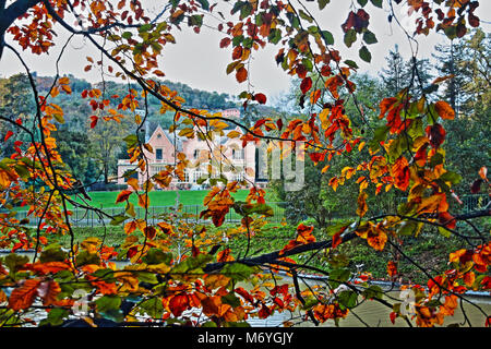 Herbst Buche Blätter einen wunderschönen Naturpark Hintergrund schmücken Stockfoto