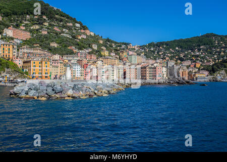 Camogli Marina Hafen, Boote und typischen bunten Häusern. Reisen Sie Reiseziel Ligurien, Italien, Europa. Stockfoto