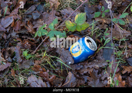 Nahaufnahme von einem weggeworfenen Lager kann zwischen den Blättern auf ein Land kurz Stockfoto