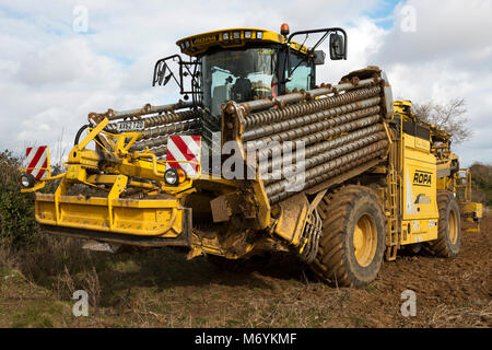 Ropa Euro Maos 4 Zuckerrüben Lader Stockfoto