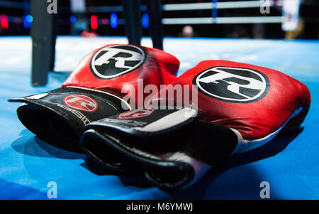 Ein Paar rote Boxhandschuhe auf dem blauen Leinwand von einem Boxring Stockfoto