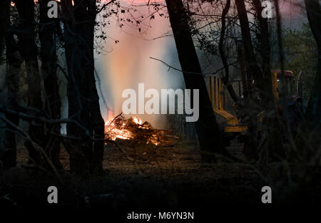 Land Management, Clearing Waldgebiete mit kontrolliertem brennen und Brände. Stockfoto