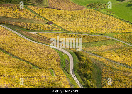 Die Weinberge rund um Château-Chalon, Jura, Franche-Comté, Frankreich Stockfoto