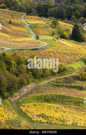 Die Weinberge rund um Château-Chalon, Jura, Franche-Comté, Frankreich Stockfoto