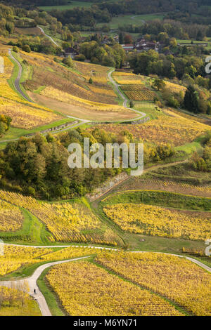 Die Weinberge rund um Château-Chalon, Jura, Franche-Comté, Frankreich Stockfoto