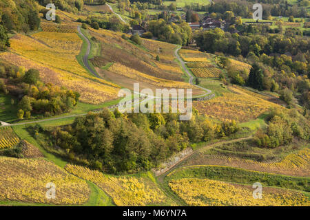 Die Weinberge rund um Château-Chalon, Jura, Franche-Comté, Frankreich Stockfoto