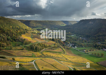 Die Weinberge des Château-Chalon, Jura, Franche-Comté, Frankreich Stockfoto