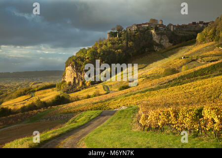 Nach dem Regen, Weinberge rund um Château-Chalon, Jura, Franche-Comté, Frankreich Stockfoto