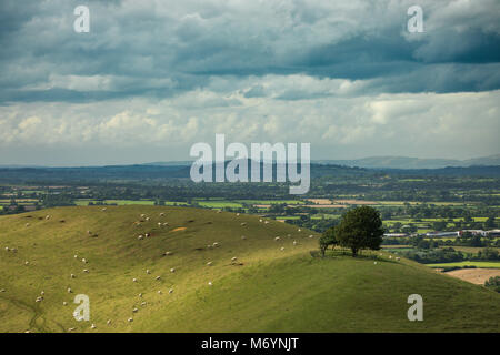 Parrock Hill & Glastonbury Tor von Corton Denham Beacon, Dorset, England, Großbritannien Stockfoto