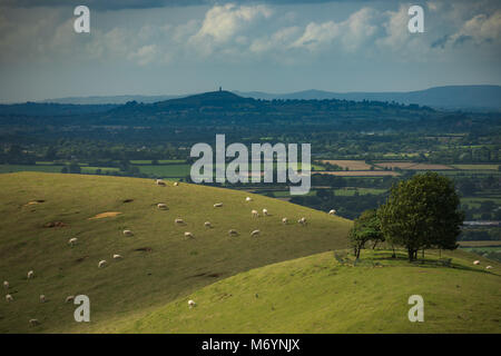 Parrock Hill & Glastonbury Tor von Corton Denham Beacon, Dorset, England, Großbritannien Stockfoto