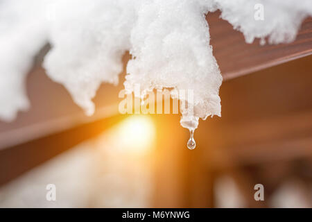 Nahaufnahme der schmelzende Schnee Eiszapfen auf dem Dach. Fallende Wassertropfen. Anfang des Frühlings. Sitzung Kälte und Hitze Konzept. Frischer Frühling Natur Hintergrund. Stockfoto