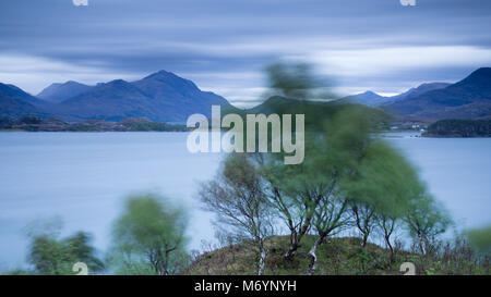 Bäume wiegen sich im Wind über Loch Shieldaig mit die Torridon Berge, Wester Ross, Schottland, Großbritannien Stockfoto