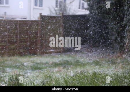 Schneesturm über Gras im Garten Stockfoto