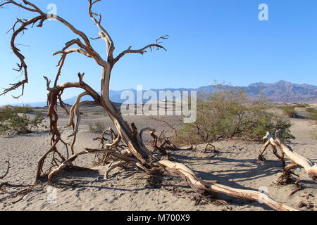 Bilder im Death Valley genommen Stockfoto