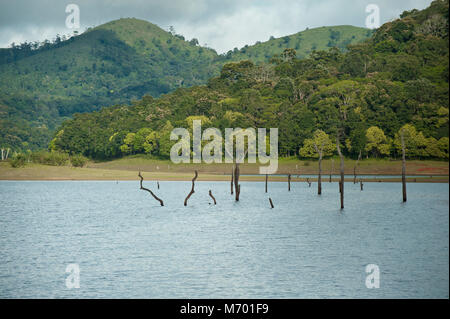 Periyar Nationalpark Periyar Tiger Reserve in Kerala, Indien Stockfoto