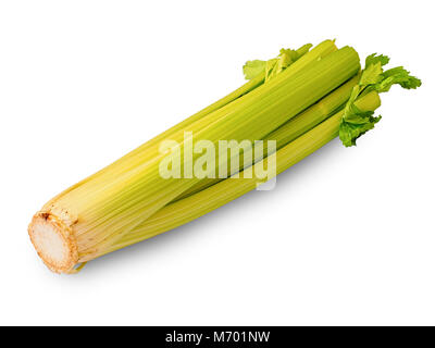Raw Selleriestangen auf weißem Hintergrund Stockfoto