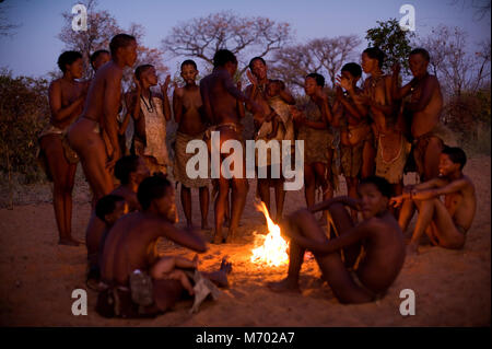 Ju/'Hoansi oder San Buschmänner Jäger im afrikanischen Busch. Viele Touristen kamen, um dann in das Lebende Museum an Grashoek, Namibia besuchen Stockfoto