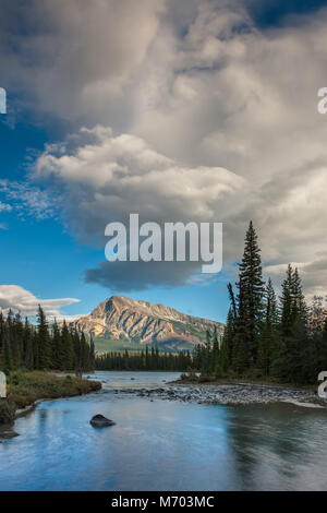 Der Athabasca River auf der Sitzung der Gewässer, mit Mt Hardisty jenseits, Jasper National Park, Alberta, Kanada Stockfoto