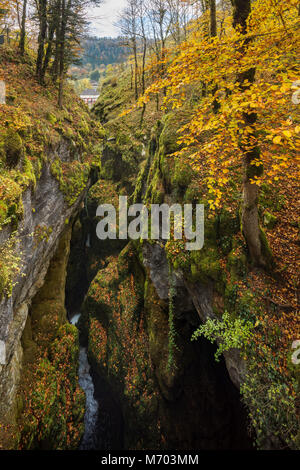 Herbstfarben in der pertes de l'Ain, Jura, Franche-Comté, Frankreich Stockfoto