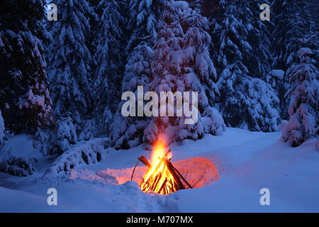 1000 Teile Puzzle 'Vier Eulen Am Lagerfeuer' - Herausforderndes Tierpuzzle Für Erwachsene