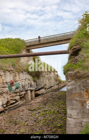 Kunstwerke in der Schneiden auf Seaton Sluice, aus Strand, Muscheln, Netze, Treibholz, Northumberland, Großbritannien Stockfoto