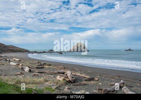 Treibholz am Strand entlang der Autobahn 101 in Nordkalifornien Stockfoto