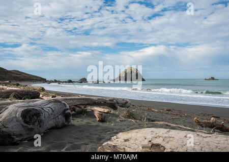 Treibholz am Strand entlang der Autobahn 101 in Nordkalifornien Stockfoto